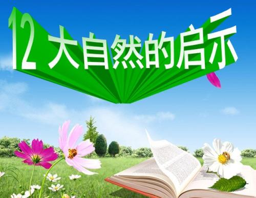 自然启示_700字