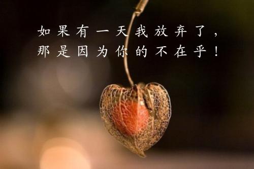 给自己自信的_500字