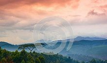 朦胧的美好_3000字