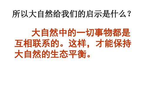 自然启示_1200字
