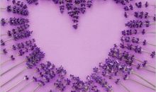 薰衣草之恋_300字