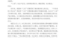 实习报告－－有关三农问题