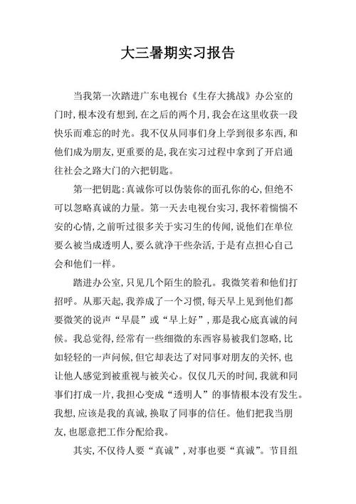 三大暑期实习报告