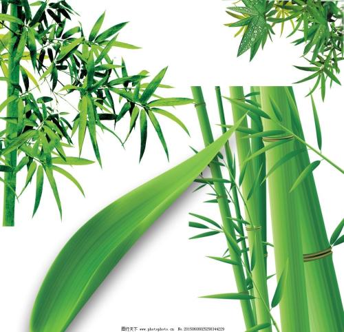 竹_500字