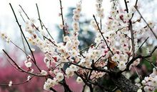 那年冬天_1500字