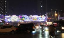 快乐的家庭_250字