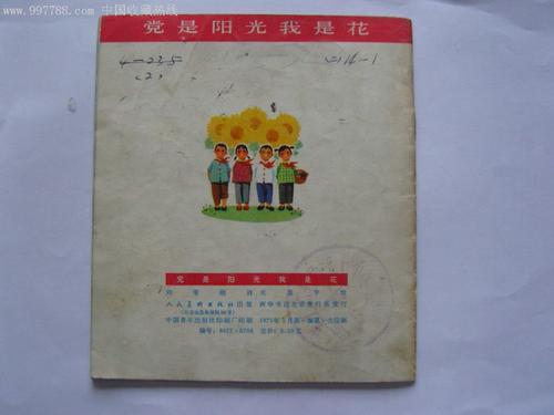 派对是阳光，我是一朵花_600字