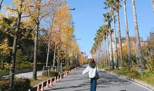 [PK赛]关于理想作文：梦想——摩天轮_1500字