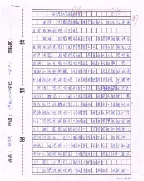 四年级写文字：我想对我的母亲说_500字