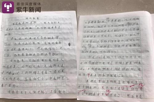 四年级写道：我的父亲--_550字