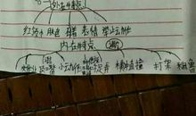 四年级写人作文：我心中的活雷锋_500字