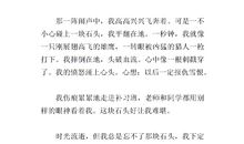 四年级写人作文：开心果_550字