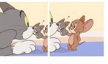 猫和老鼠的故事_1000字