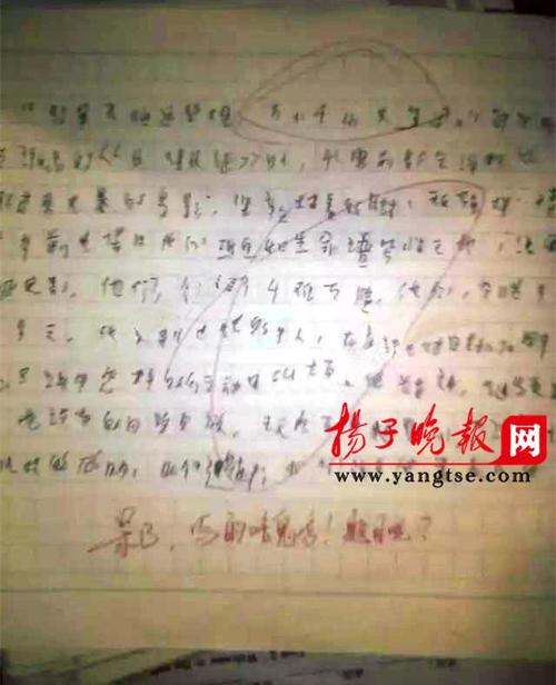 参加实践活动_600字