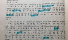 迷人的秋天_250字