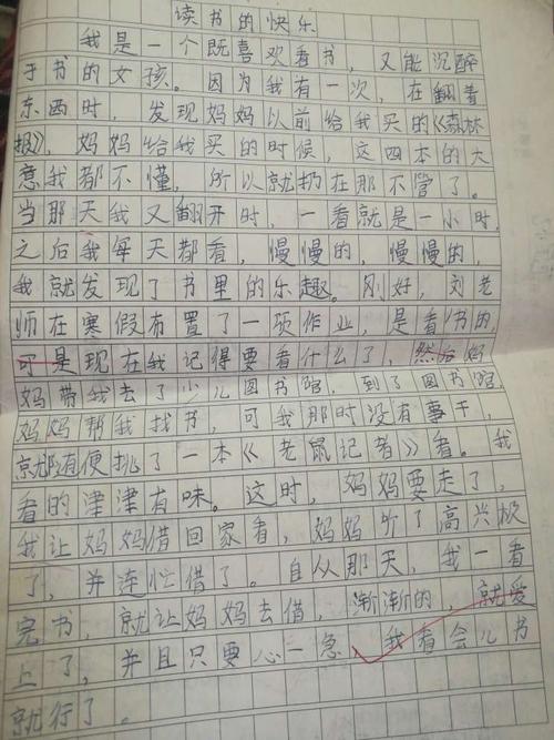 阅读乐趣_500字