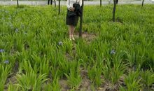 青春的光芒_600字