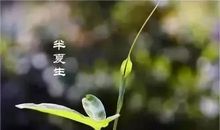 半夏时光【2】_550字