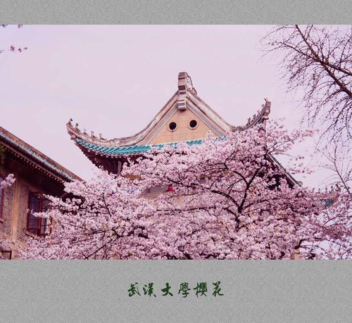 等待春天的微风，笑声_3000字