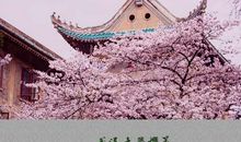 待到春风十里笑_3000字