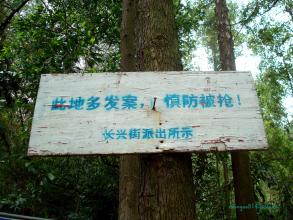 毕业是不情愿的 - 记得春天巡回赛_500字
