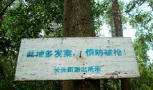 毕业的不舍——记一次春游_500字