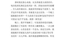 关于快乐的作文：奋斗，快乐的资本_550字