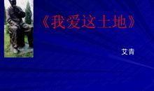 我爱这片土地_1200字