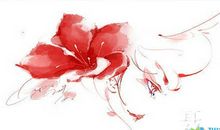 聂羽岑的梦幻国度（十）_1200字