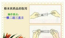 初三状物作文：红枫林_700字