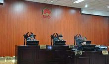 聂羽岑的梦幻国度（六）_2000字