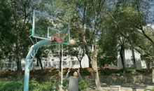 [2020年高考征文高中组]聚是一团火，散是满天星（点评）_1200字