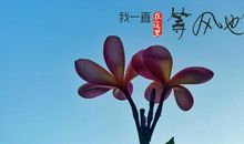 半夏流年似水（一）_350字