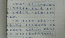 我没有问“为什么”_700字