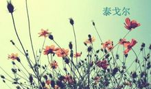 生如夏花（二）_3000字