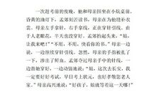 不完整的家_650字