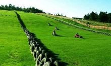 刺激的滑草_350字