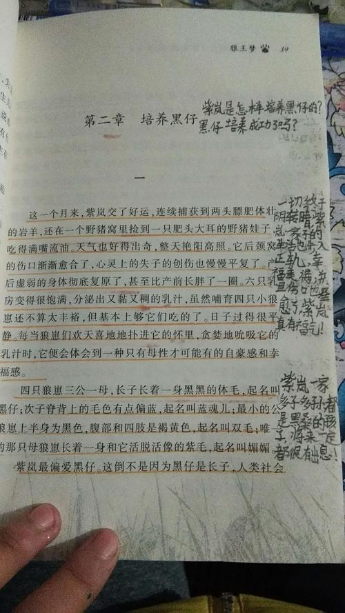 一个月，儿子已经变化了。峡谷也非常具竞争力。黑玲的身体是强大的，强大，有一种精神不胜，善于战斗，他和蓝绿色的阴影非常接近一个好伙伴。两只狼经常在一起断开连接。蓝绿色的阴影也强壮，他的防守非常好，它与黑玲非常匹配。这两位狼兄弟将保护三个姐妹。而那三个姐妹，当然，苗条，精致的玉，可爱的美容，请愿，身体健康，统一和互动。然而，小美看到她的狼是如此美好，我一直很开心。因为王萌的计划几乎是圆形的。