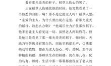 《稻草人》续写_700字