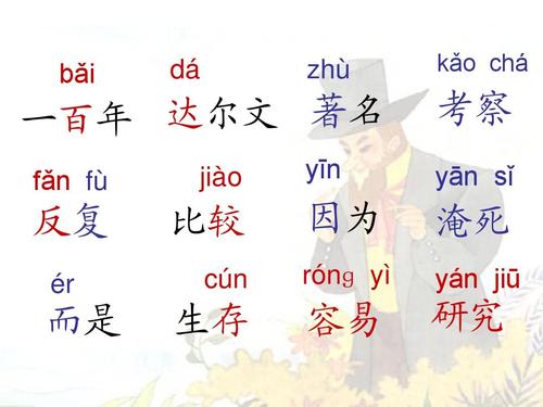 有趣的发现_450字