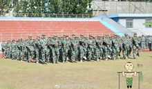 00后个性军训口号