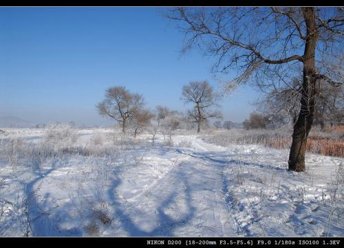这个冬天没有雪_1200字