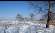 这个冬天没下雪_1200字