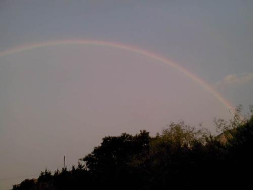 彩虹风暴后_650字