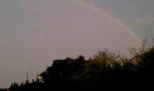 暴风雨后的彩虹_650字