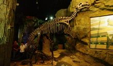 参观煤炭博物馆_750字