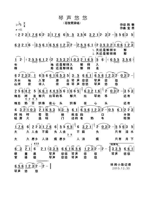 第一部小说：钢琴的声音_700字