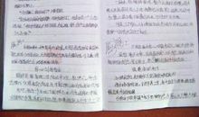 [期中征文]在尝试中成长_800字