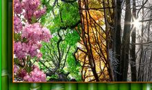 三年级诗歌：四季之歌_100字