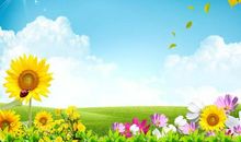 关于春天的作文：春天的喜悦_550字